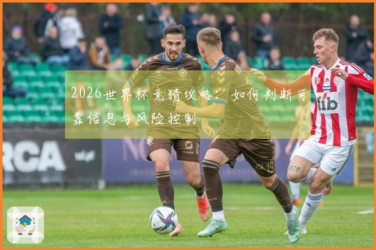2026世界杯竞猜攻略：如何判断可靠信息与风险控制