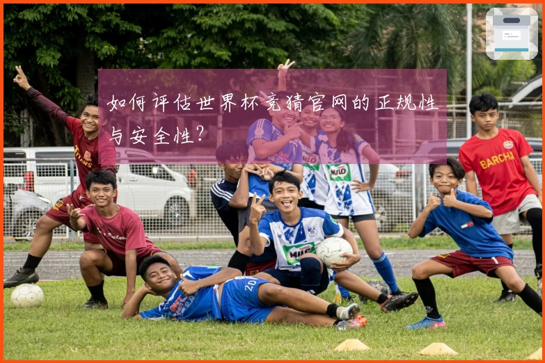 如何评估世界杯竞猜官网的正规性与安全性？