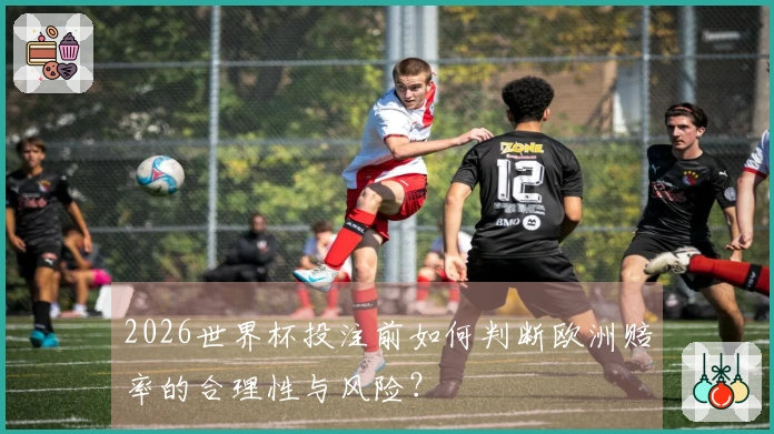 2026世界杯投注前如何判断欧洲赔率的合理性与风险？
