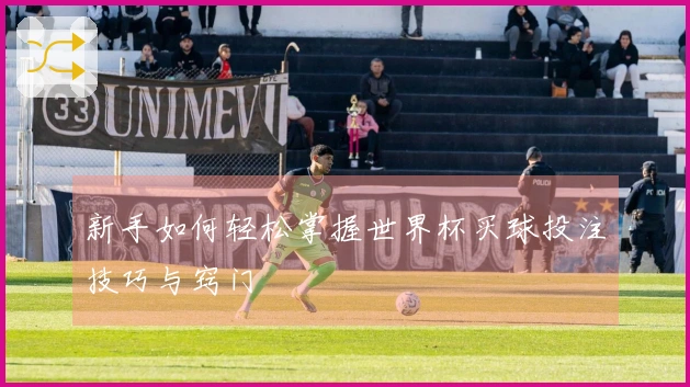 新手如何轻松掌握世界杯买球投注技巧与窍门