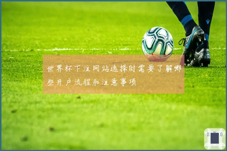 世界杯下注网站选择时需要了解哪些开户流程和注意事项