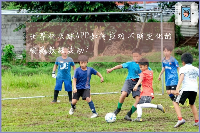 世界杯买球APP如何应对不断变化的输赢数据波动?